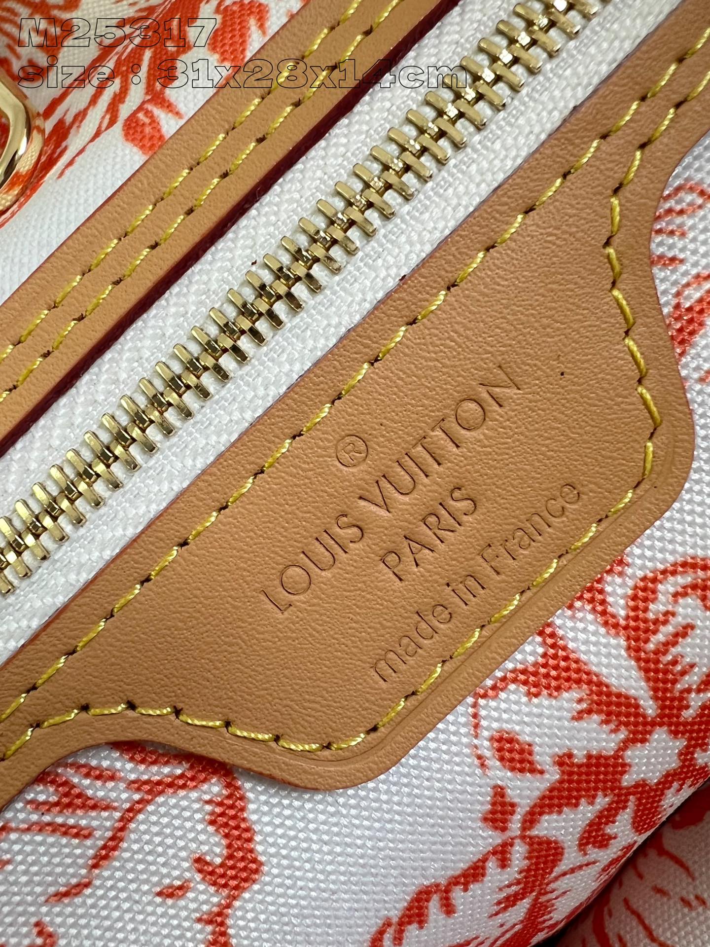 Louis Vuitton Handbag