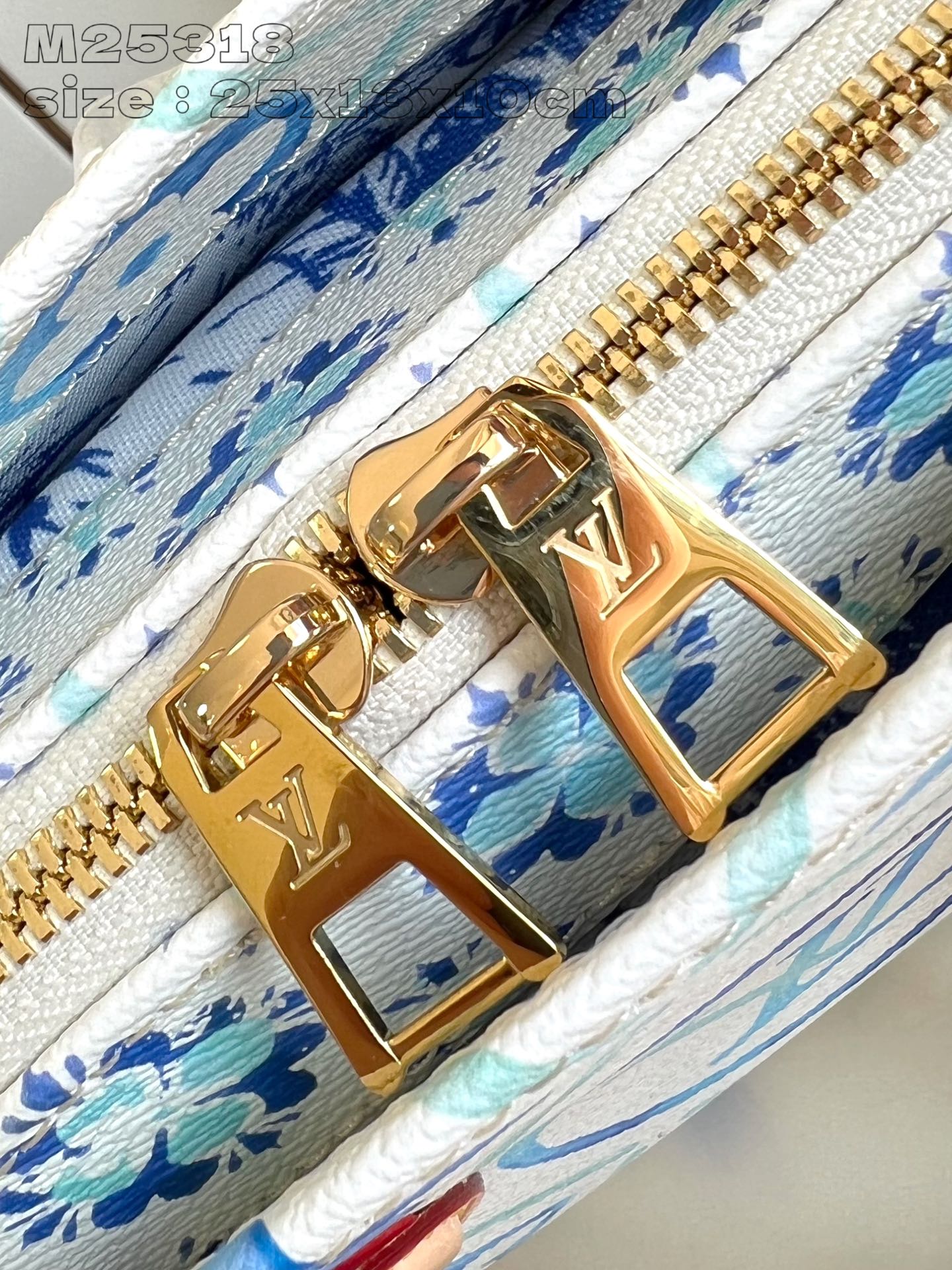 Louis Vuitton Handbag