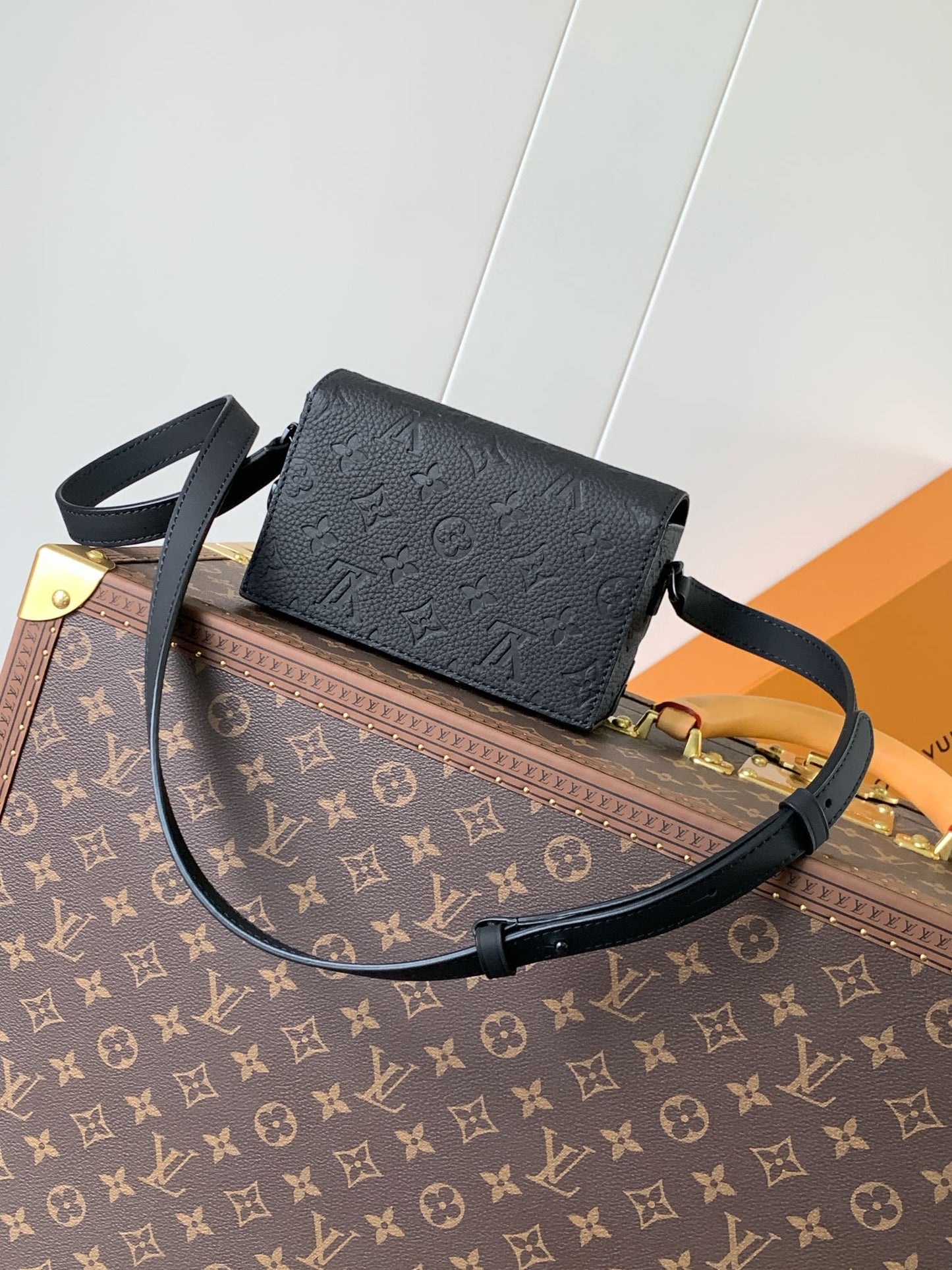 Louis Vuitton Handbag