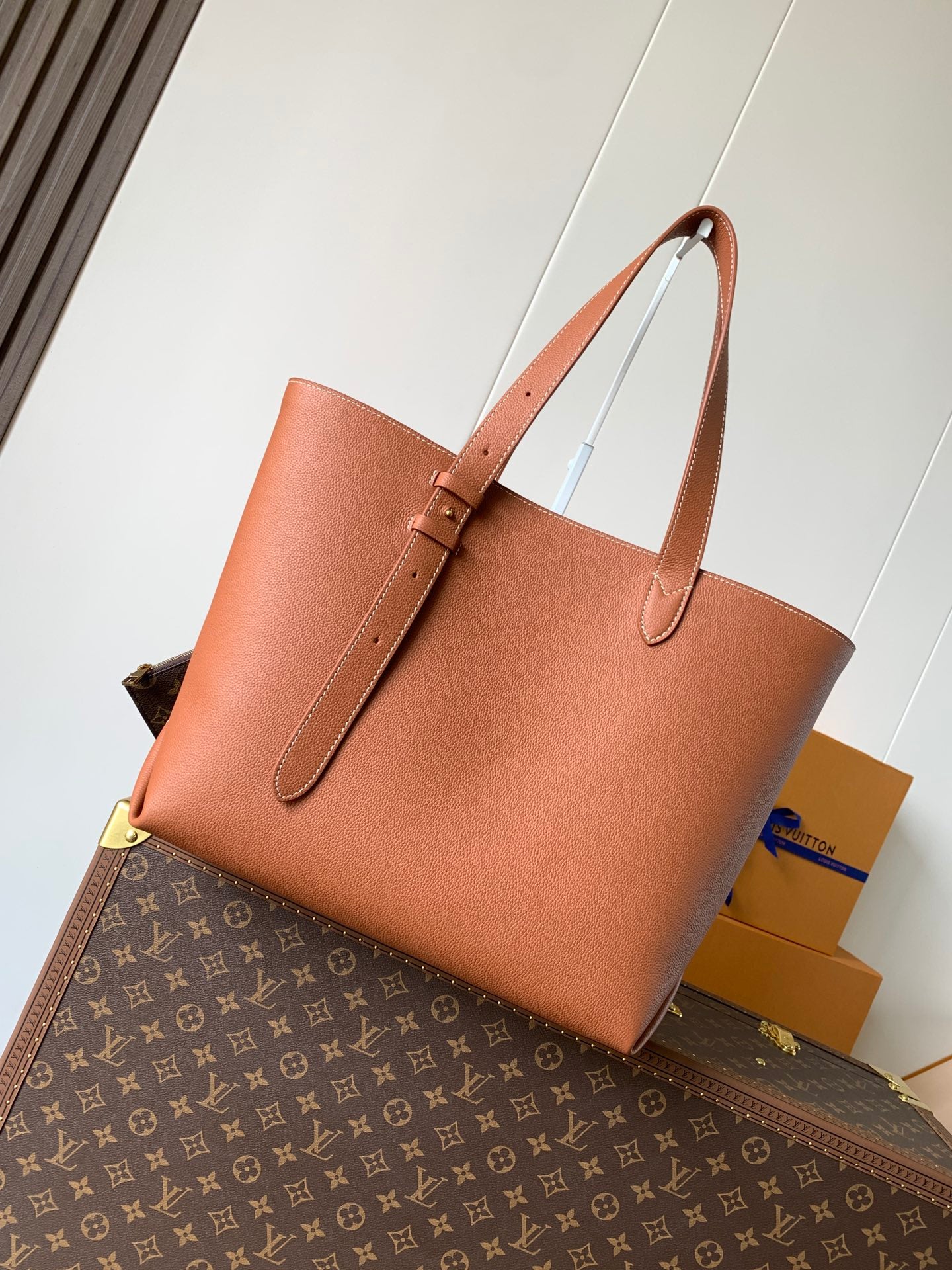 Louis Vuitton Handbag