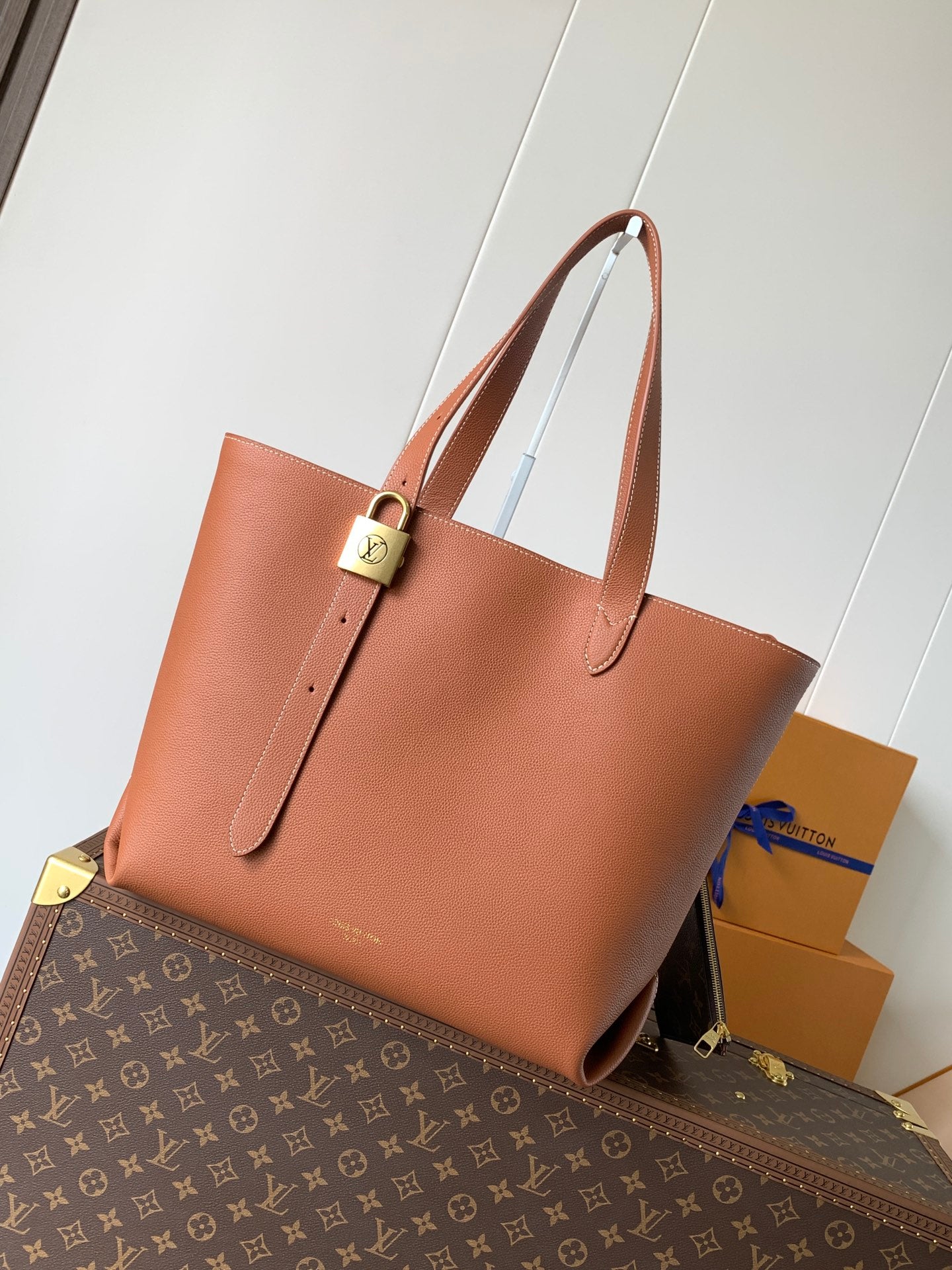 Louis Vuitton Handbag