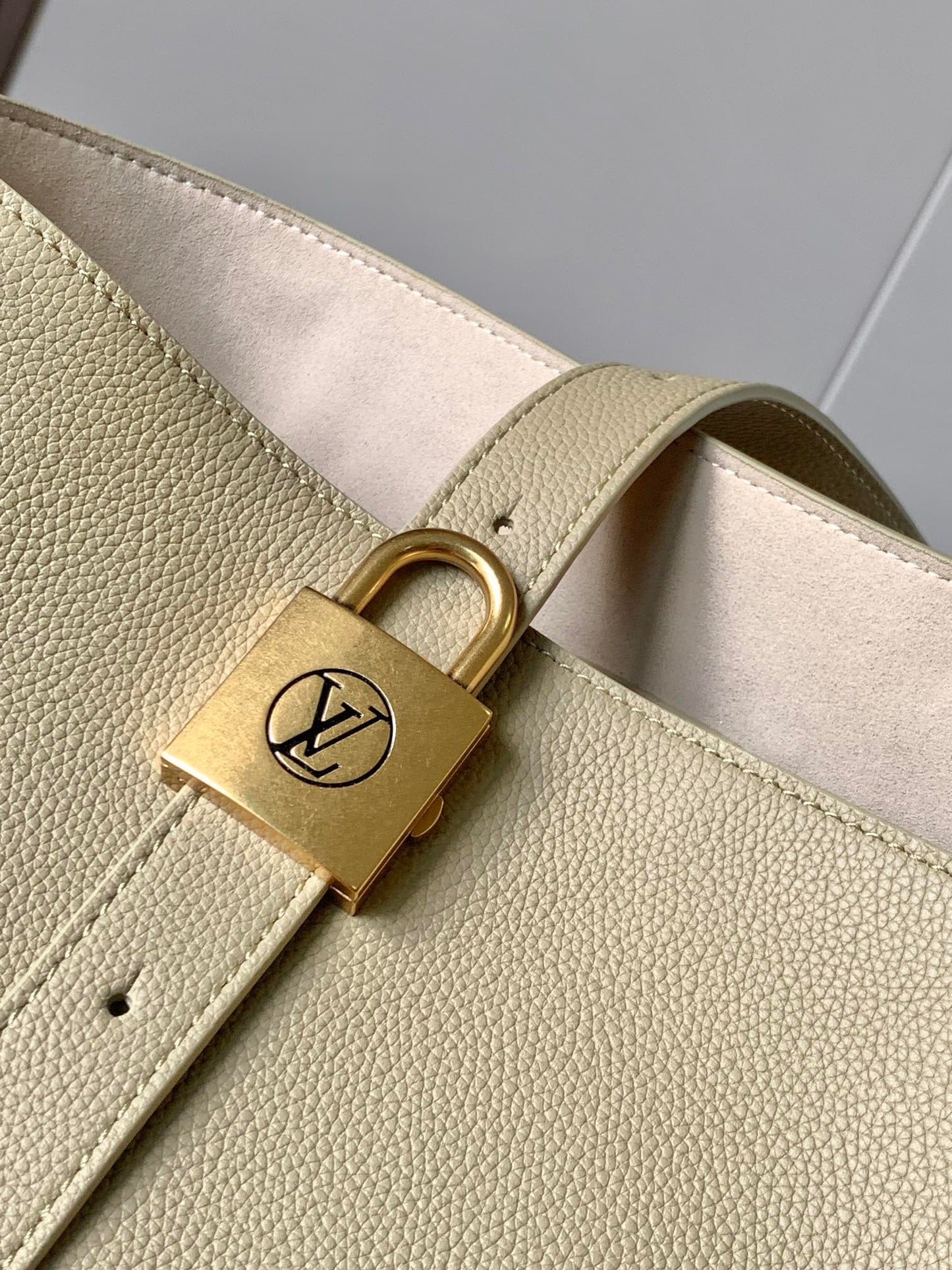 Louis Vuitton Handbag