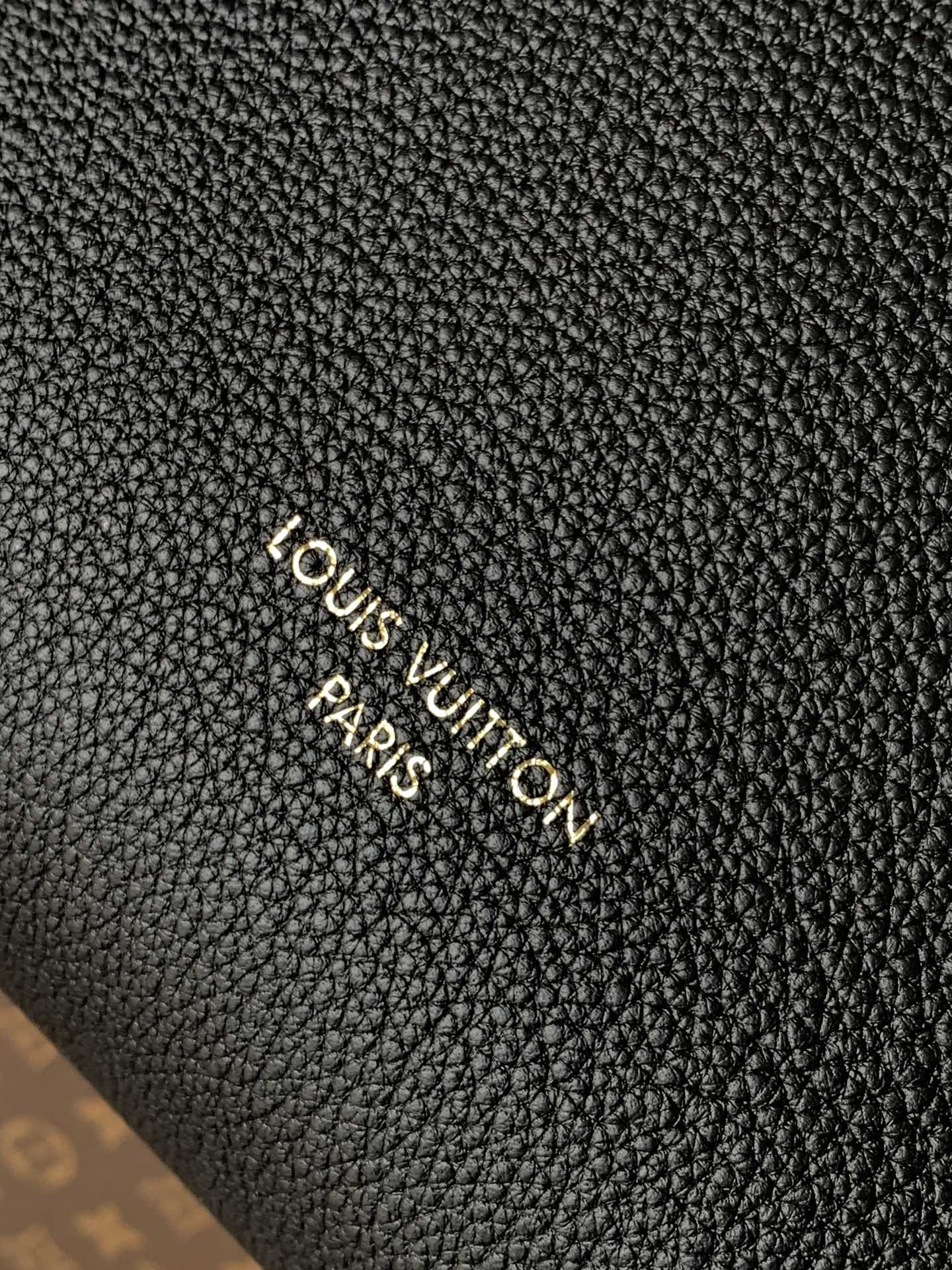 Louis Vuitton Handbag