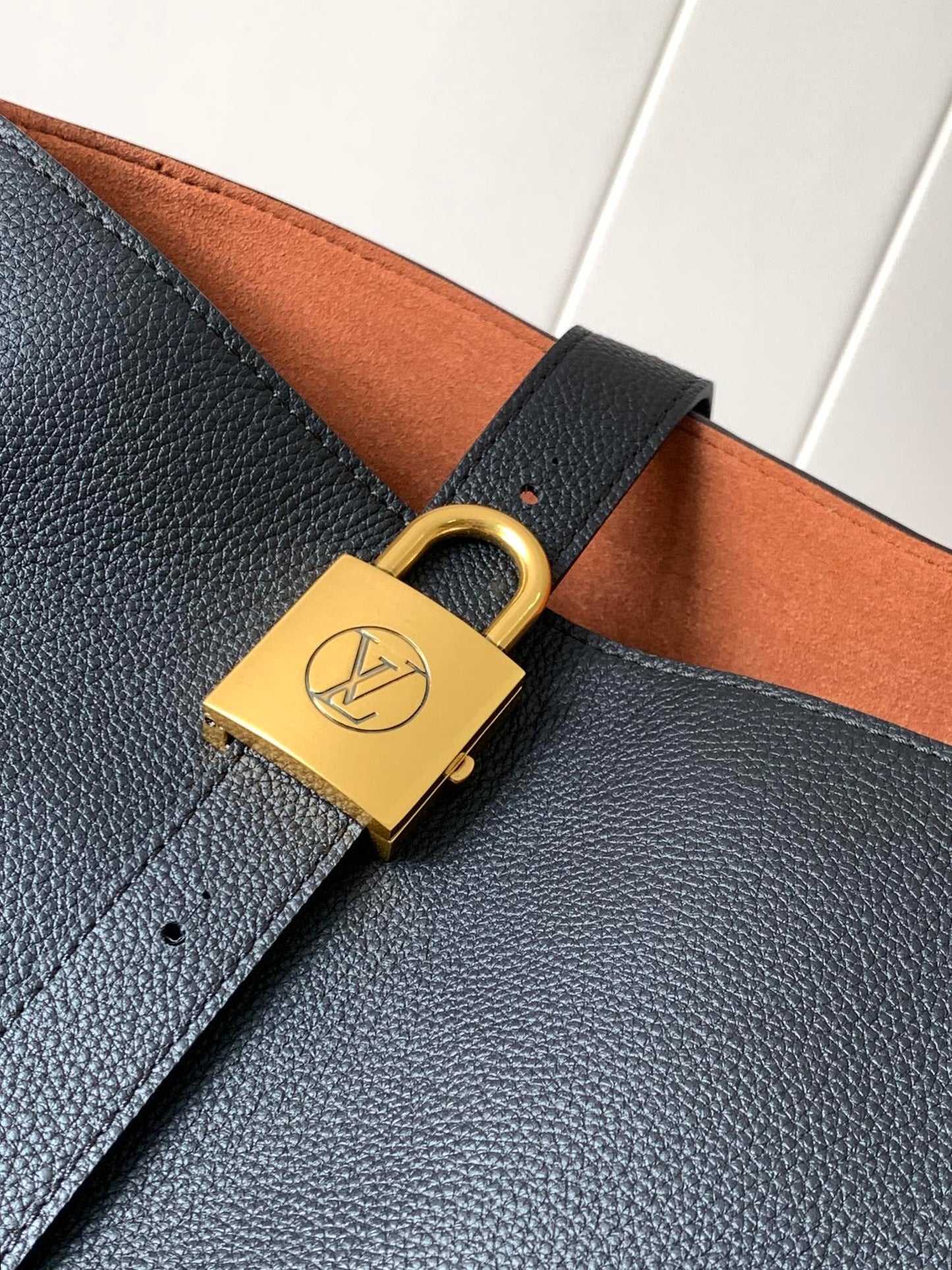 Louis Vuitton Handbag
