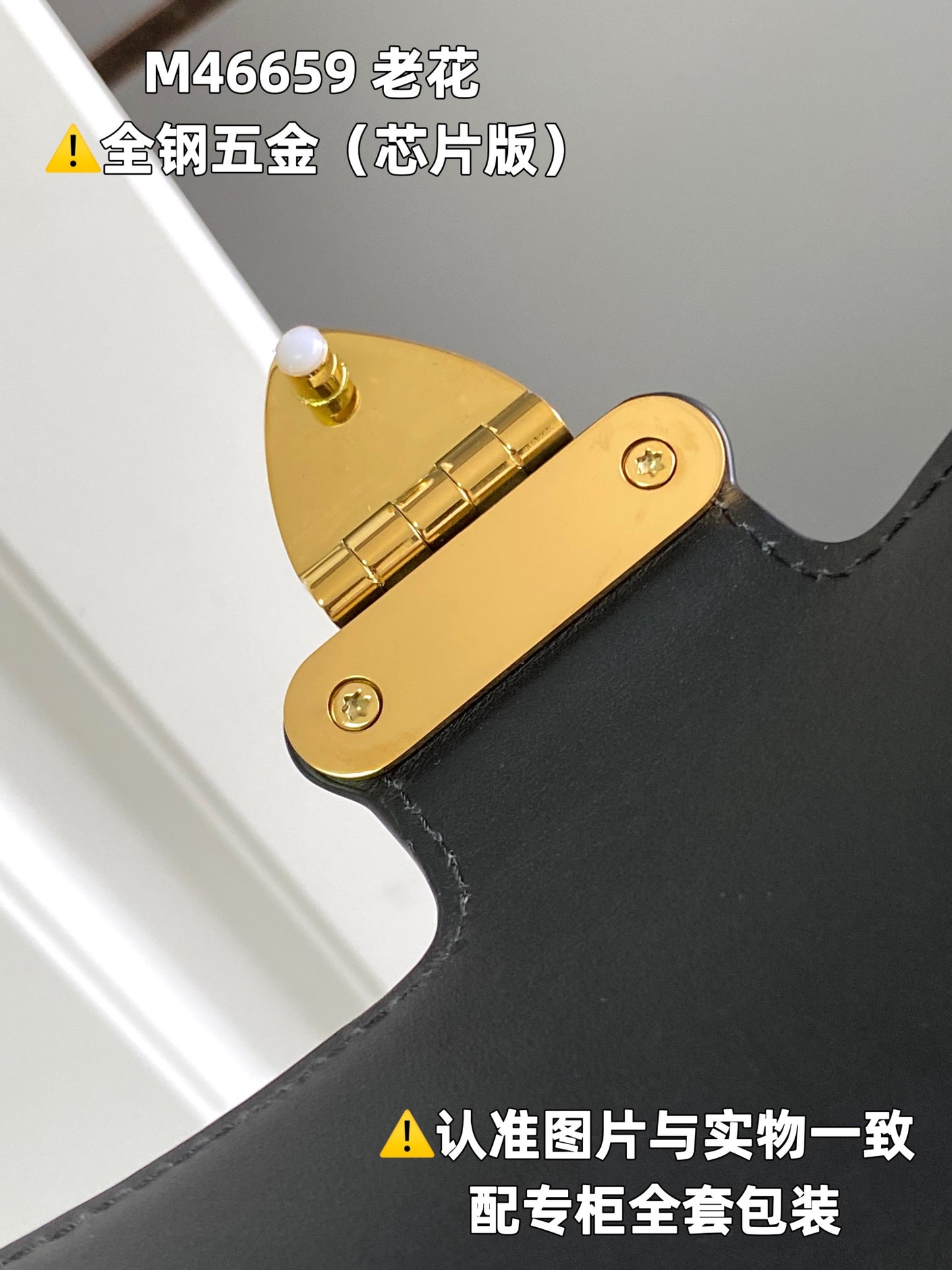 Louis Vuitton Handbag