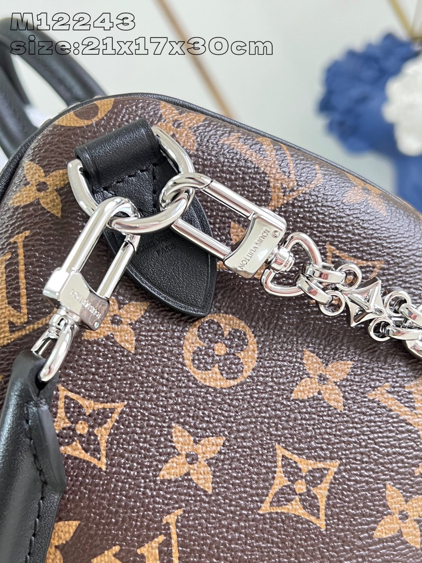 Louis Vuitton Handbag