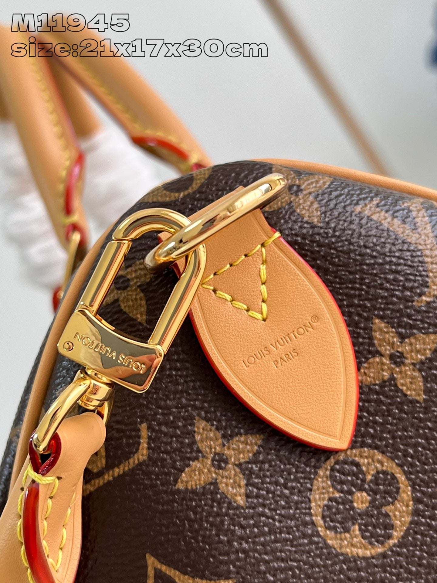 Louis Vuitton Handbag
