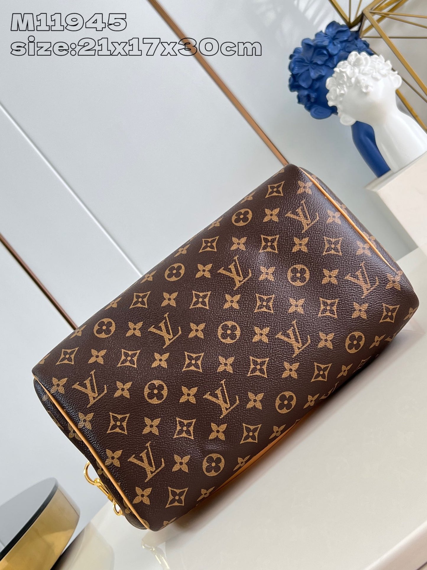 Louis Vuitton Handbag
