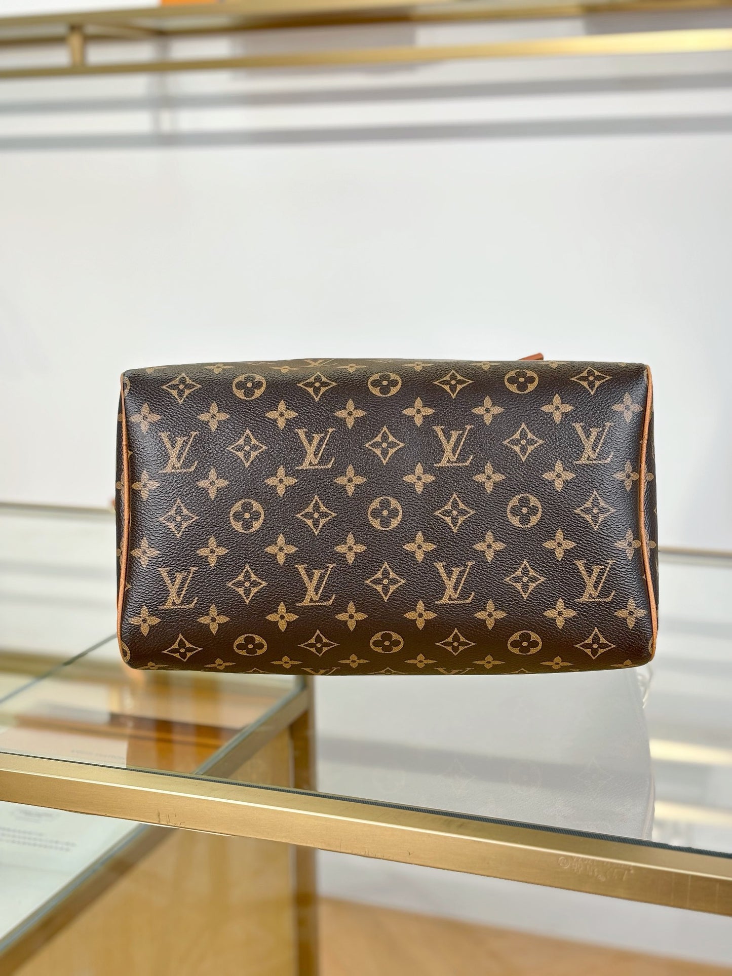 Louis Vuitton Handbag