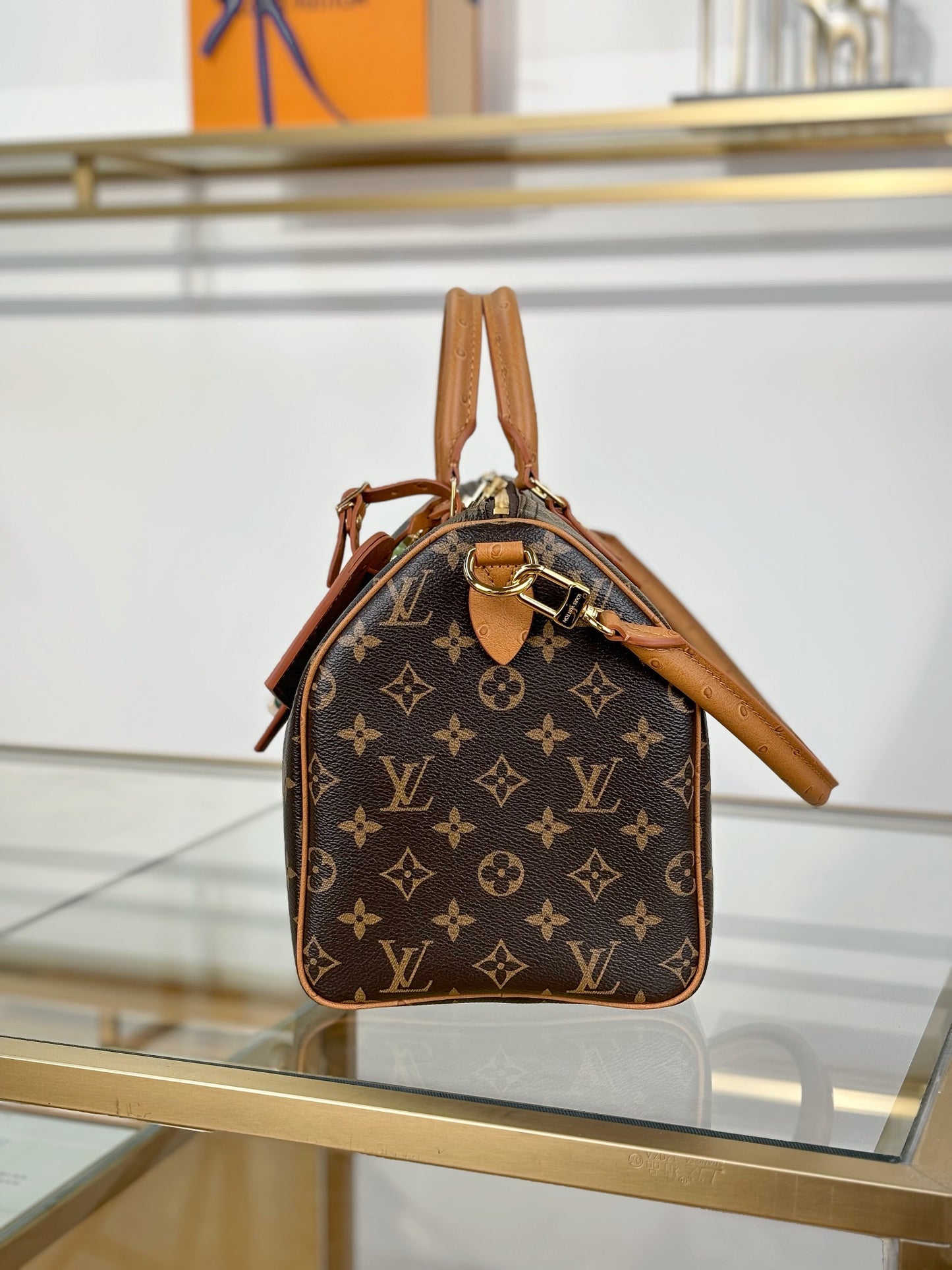 Louis Vuitton Handbag