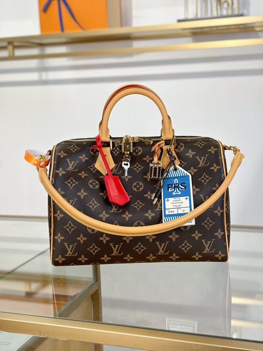Louis Vuitton Handbag
