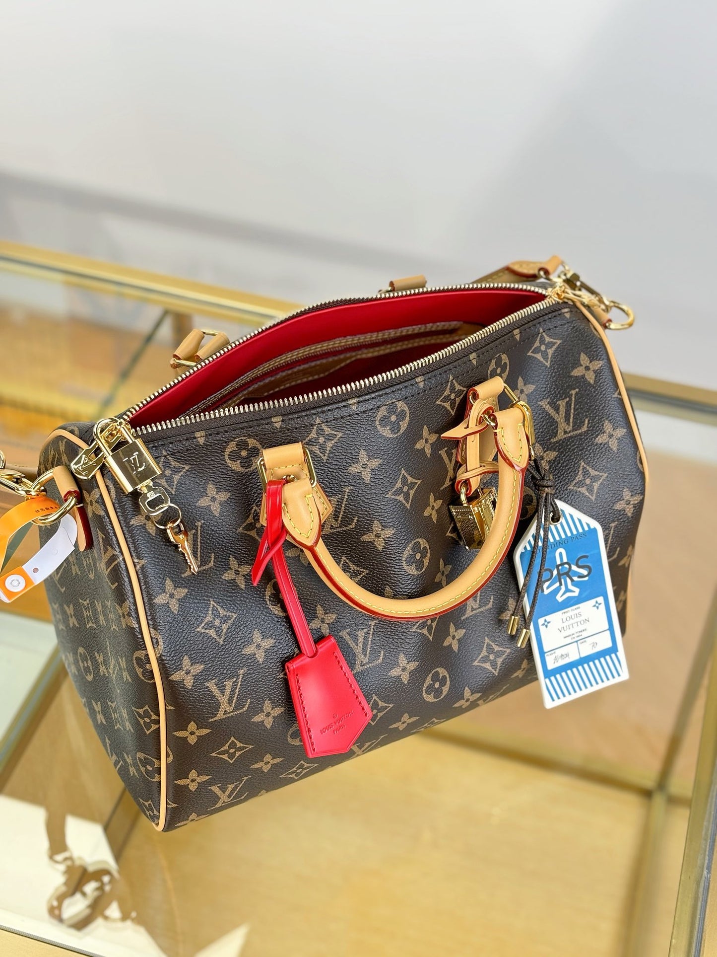 Louis Vuitton Handbag