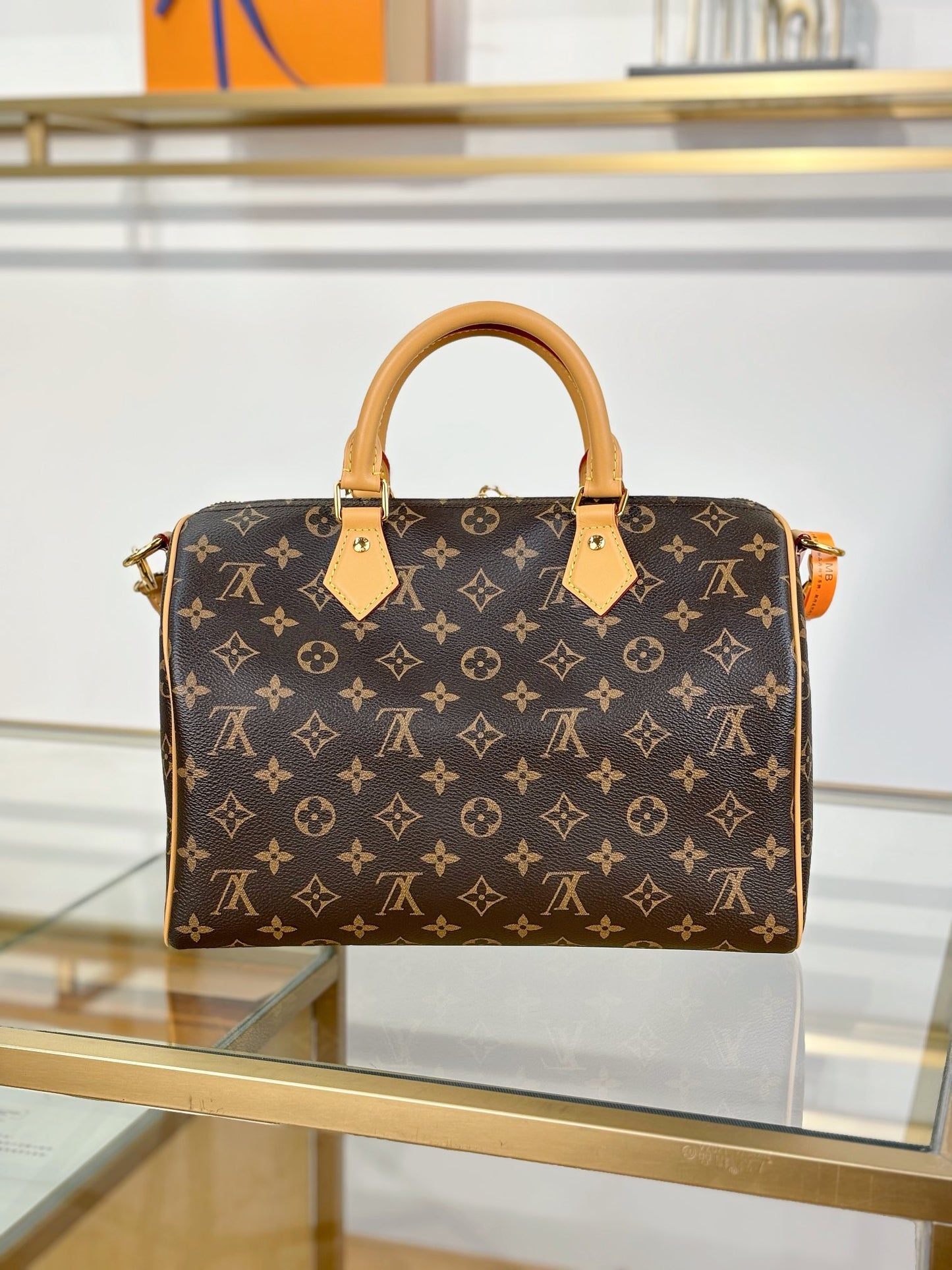 Louis Vuitton Handbag