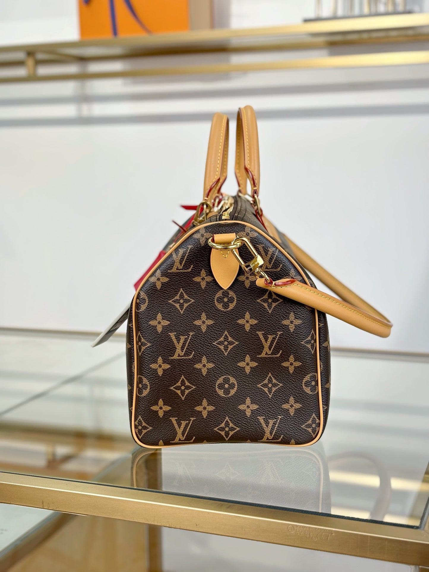 Louis Vuitton Handbag