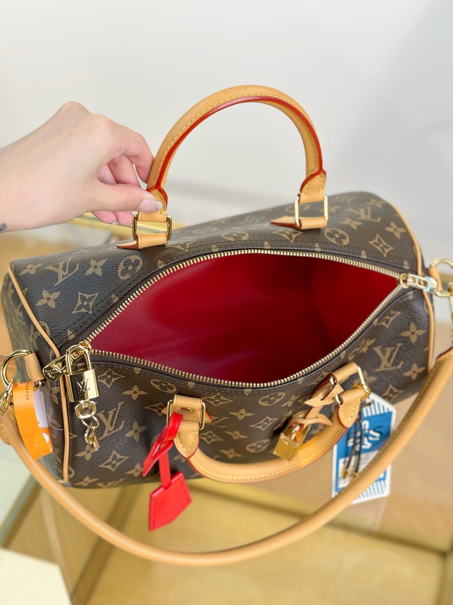 Louis Vuitton Handbag