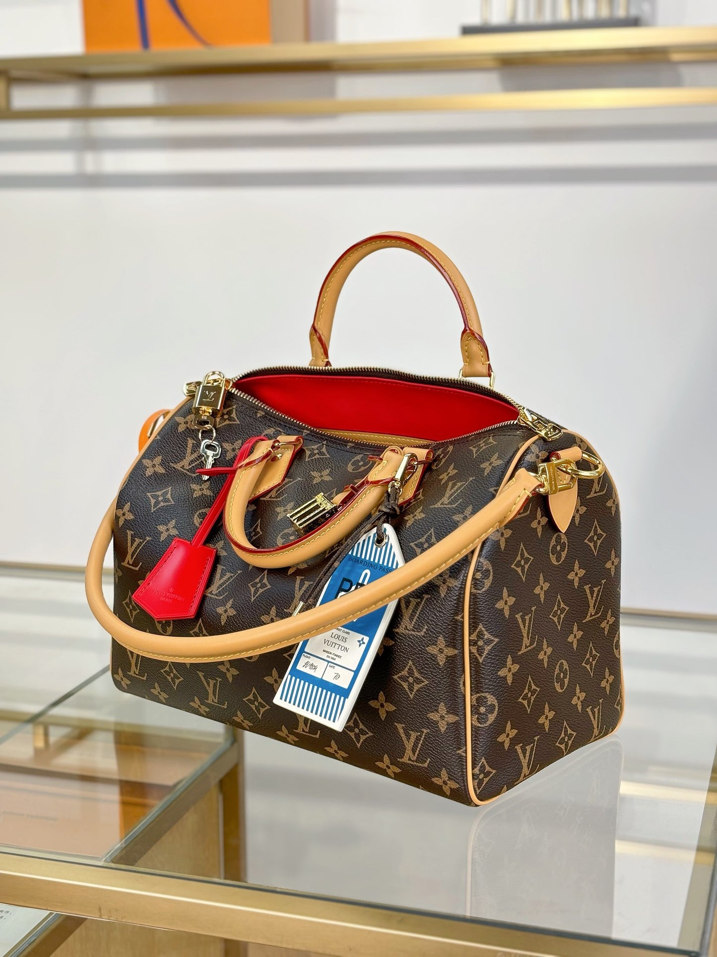 Louis Vuitton Handbag