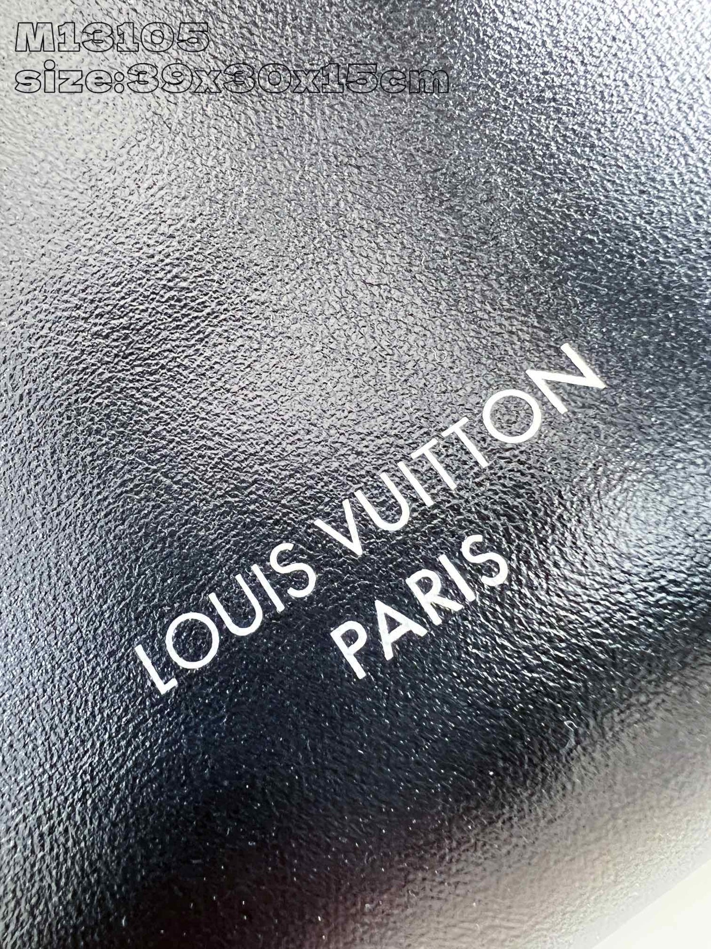Louis Vuitton Handbag