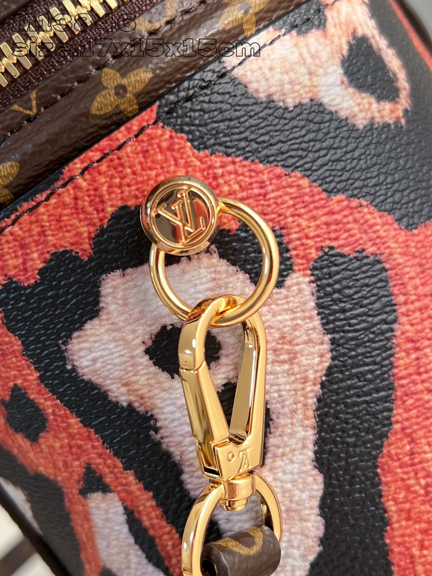 Louis Vuitton Handbag
