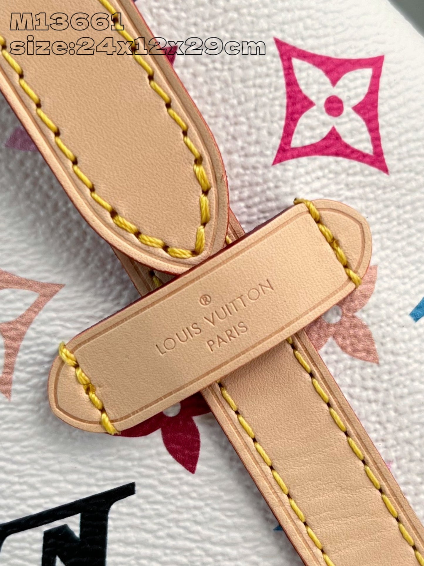 Louis Vuitton Handbag