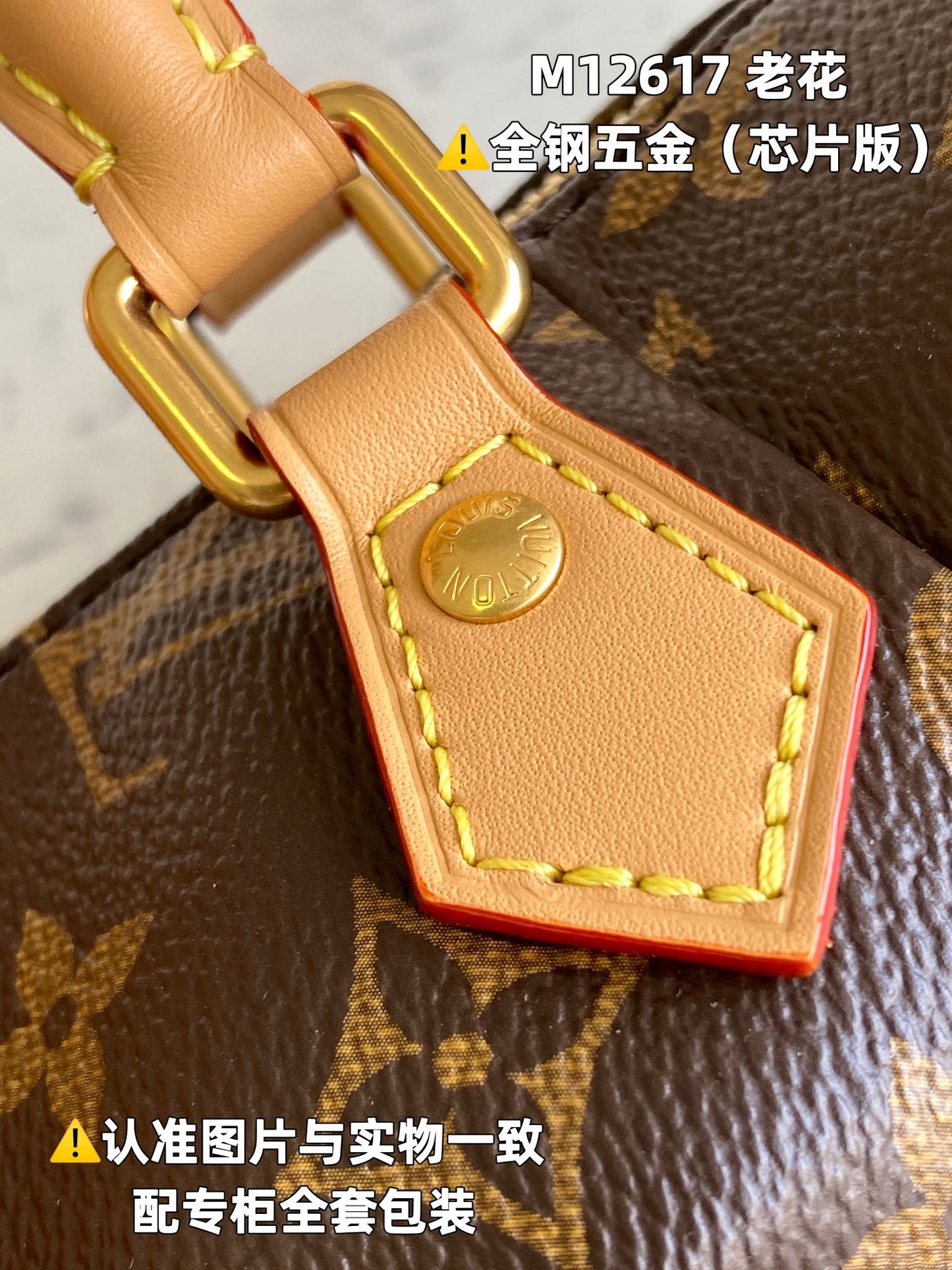 Louis Vuitton Handbag