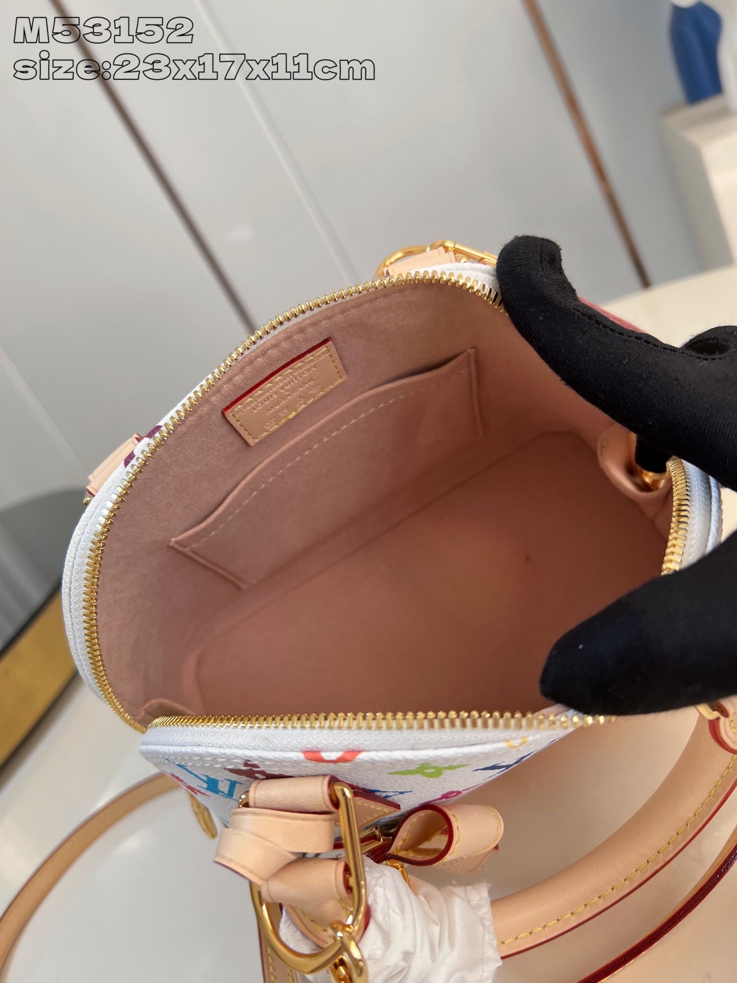 Louis Vuitton Handbag