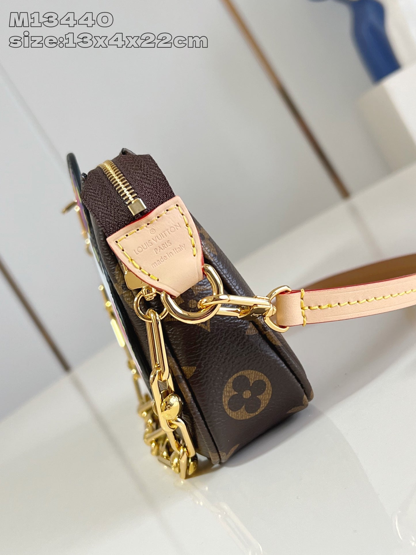 Louis Vuitton Handbag