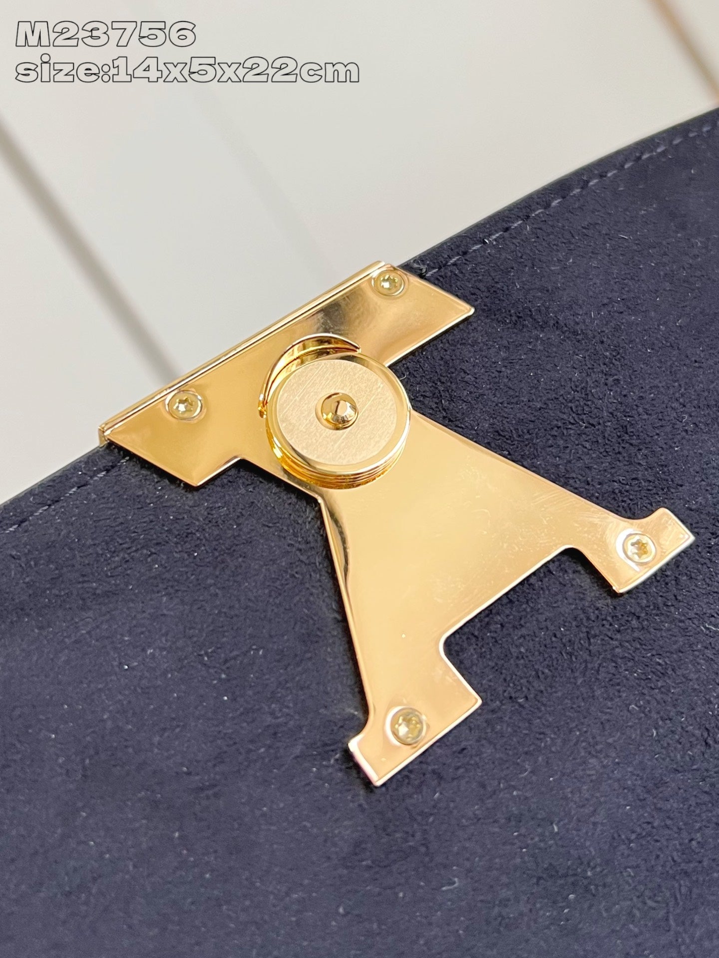 Louis Vuitton Handbag