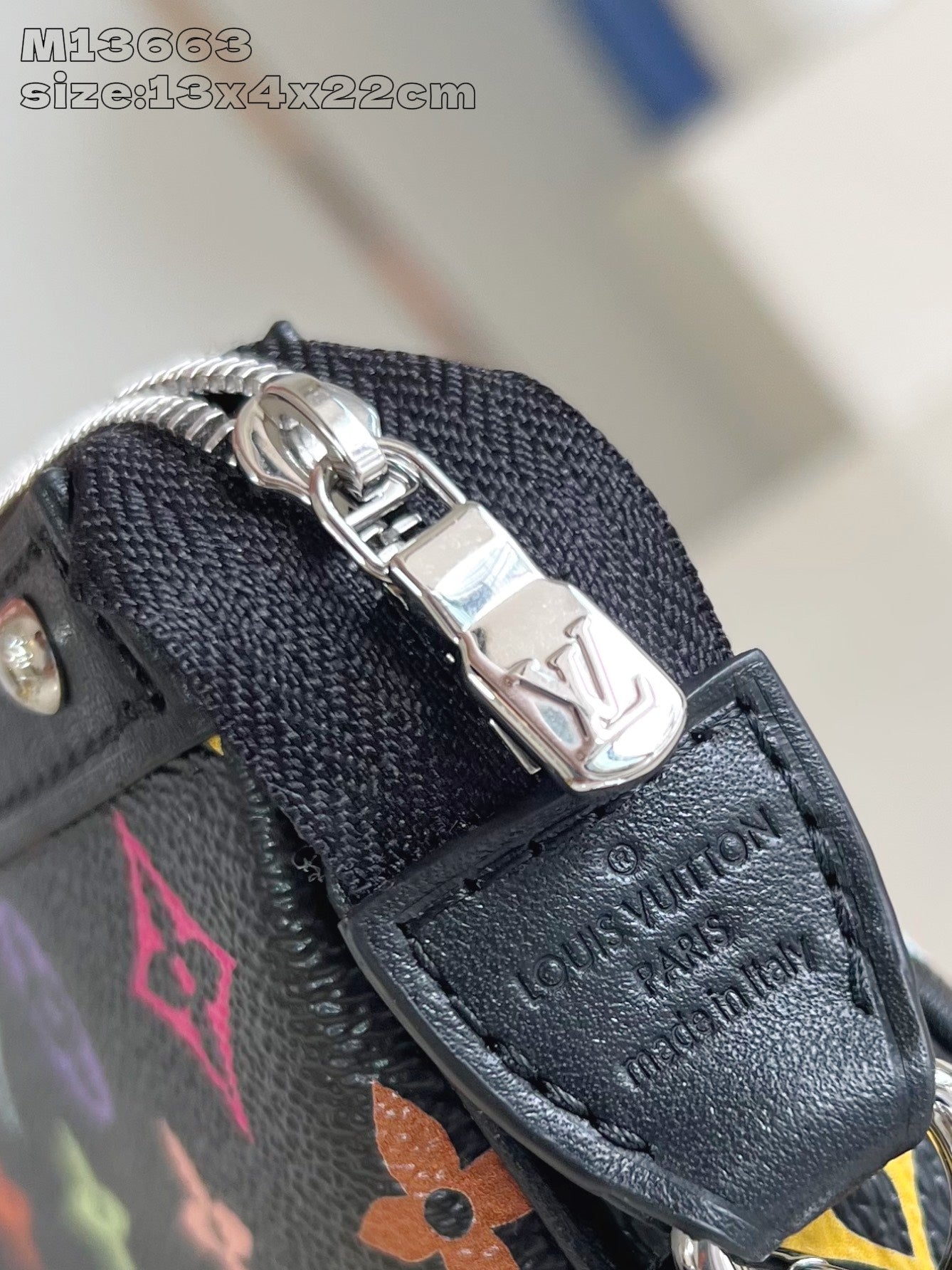 Louis Vuitton Handbag