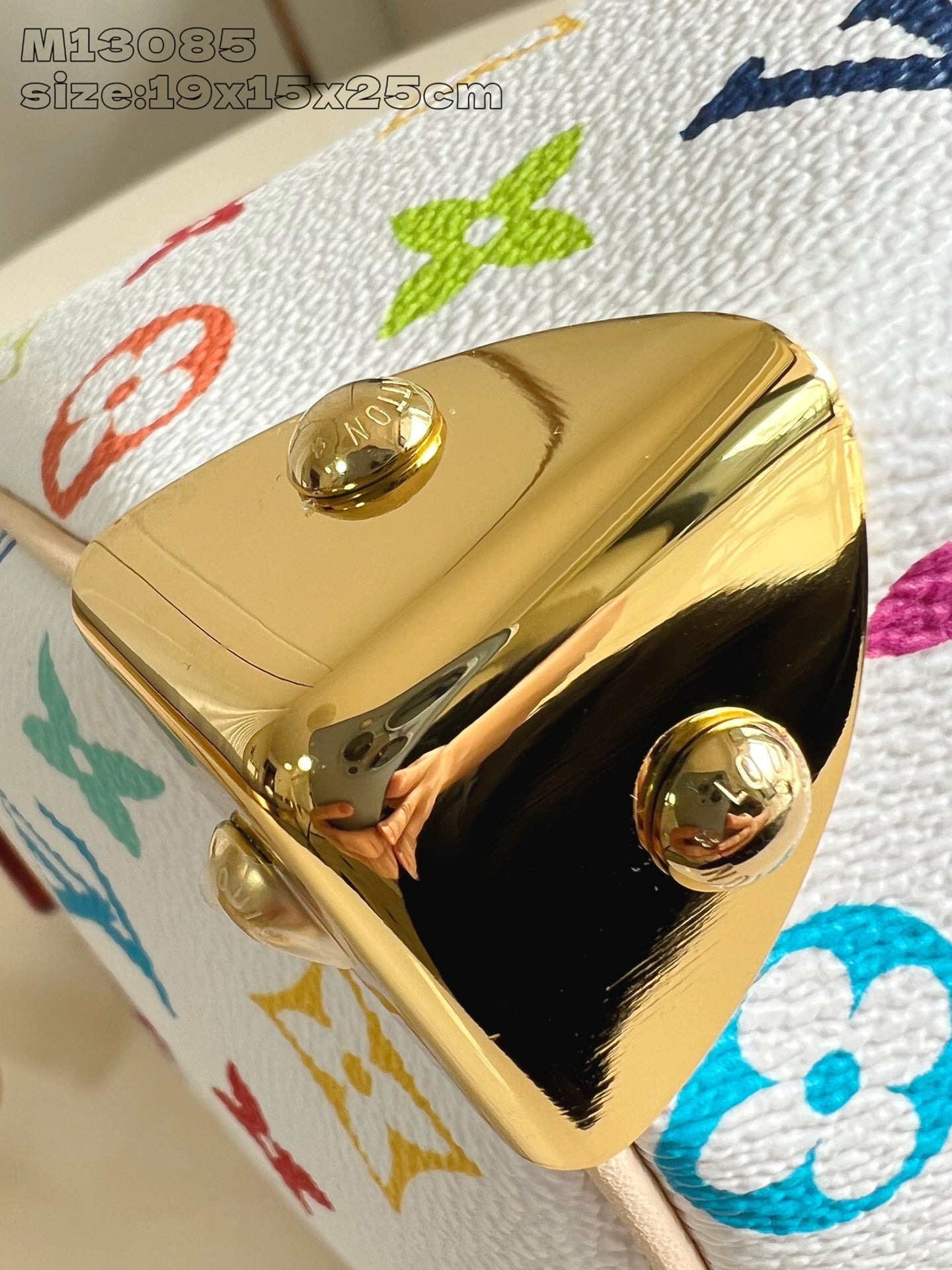 Louis Vuitton Handbag