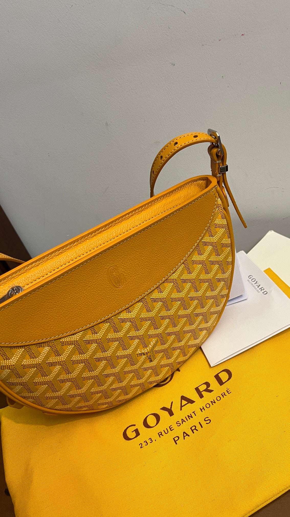 Goyard Handbag
